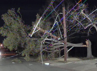 High Winds Bring Down Power Lines in Westhollow